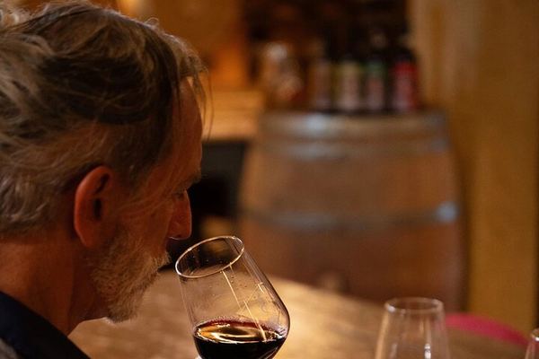 Poggio ai Laghi Tasting near Monteriggioni: Chianti Wines, Olive Oils and Vinegars