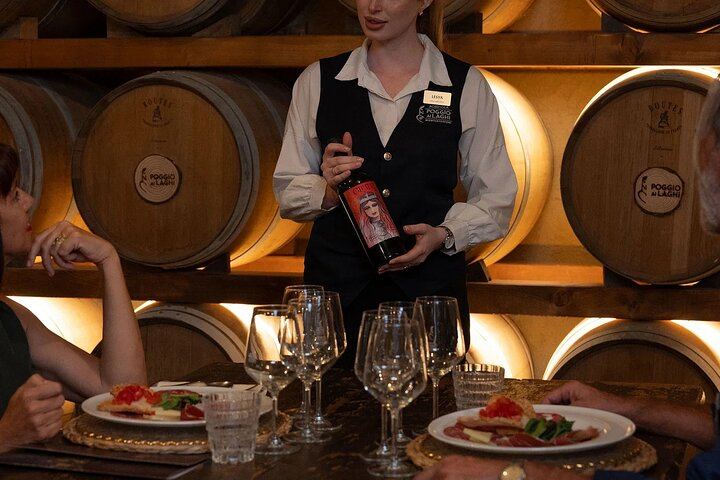 Poggio ai Laghi Tasting near Monteriggioni: Chianti Wines, Olive Oils and Vinegars (1/7)