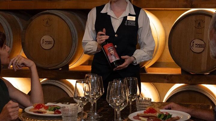 Poggio ai Laghi Tasting near Monteriggioni: Chianti Wines, Olive Oils and Vinegars (1/7)