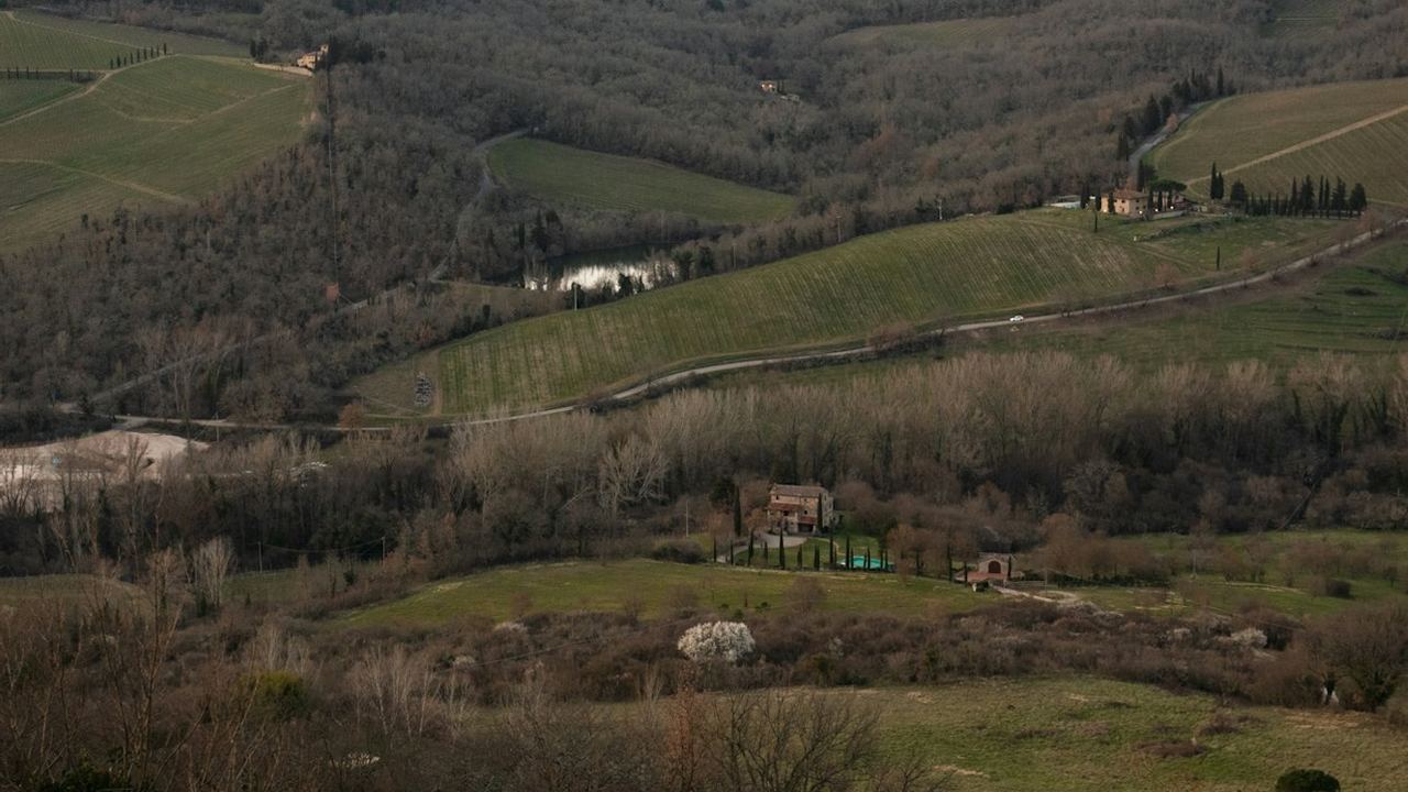 Guided Chianti Bus Tour from Florence: Vineyard Walk, Vinegar Cellar and 7-Wine Tasting (2/12)