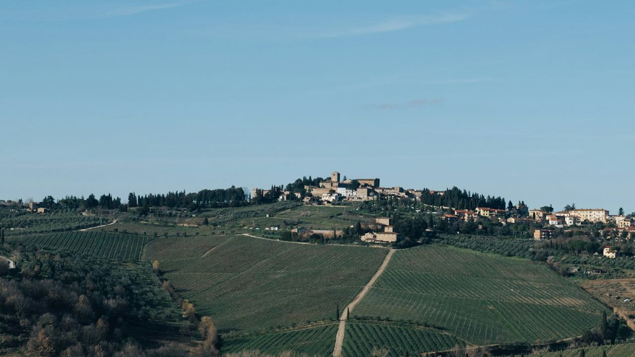 Guided Chianti Bus Tour from Florence: Vineyard Walk, Vinegar Cellar and 7-Wine Tasting (3/12)