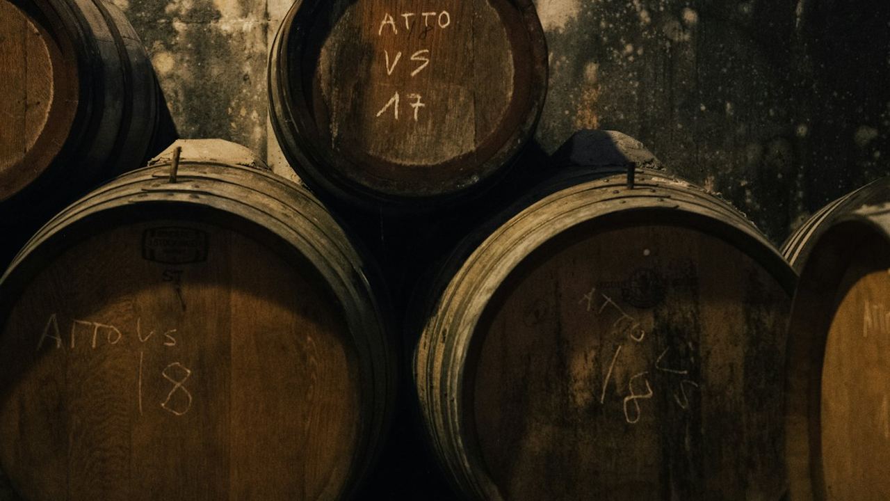 Guided Chianti Bus Tour from Florence: Vineyard Walk, Vinegar Cellar and 7-Wine Tasting (1/12)
