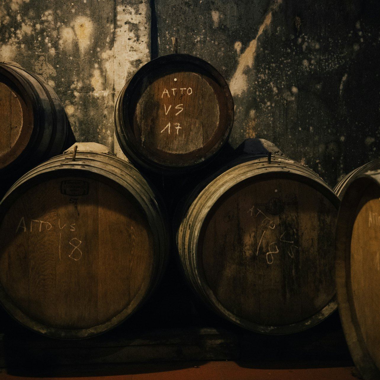Guided Chianti Bus Tour from Florence: Vineyard Walk, Vinegar Cellar and 7-Wine Tasting (1/12)