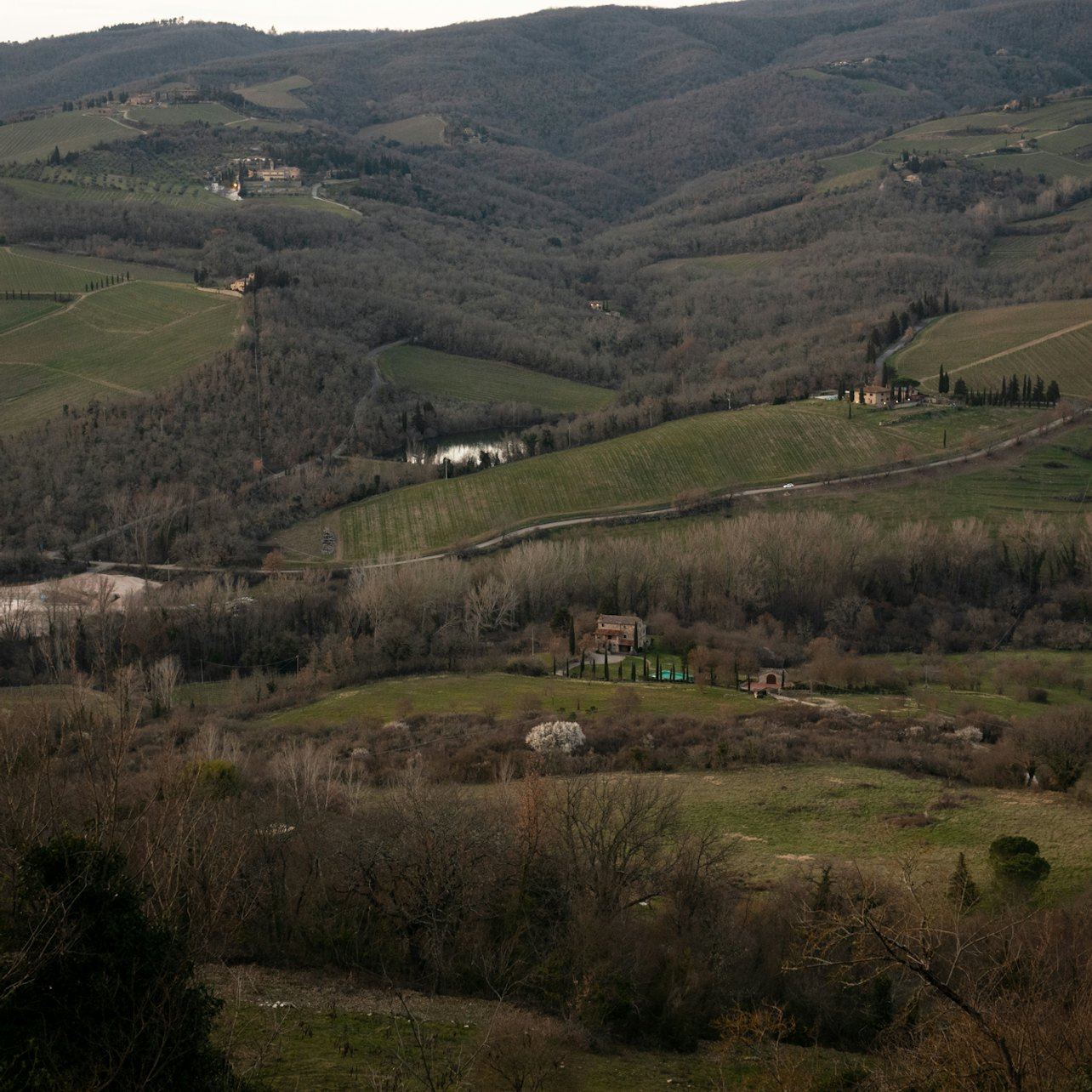 Guided Chianti Bus Tour from Florence: Vineyard Walk, Vinegar Cellar and 7-Wine Tasting (2/12)