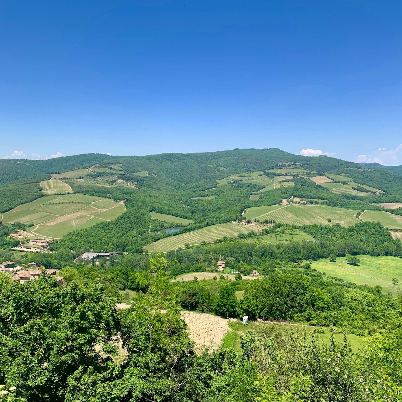 Guided Chianti Bus Tour from Florence: Vineyard Walk, Vinegar Cellar and 7-Wine Tasting (11/12)