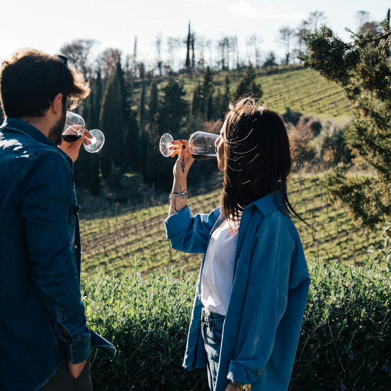 Guided Chianti Bus Tour from Florence: Vineyard Walk, Vinegar Cellar and 7-Wine Tasting (10/12)