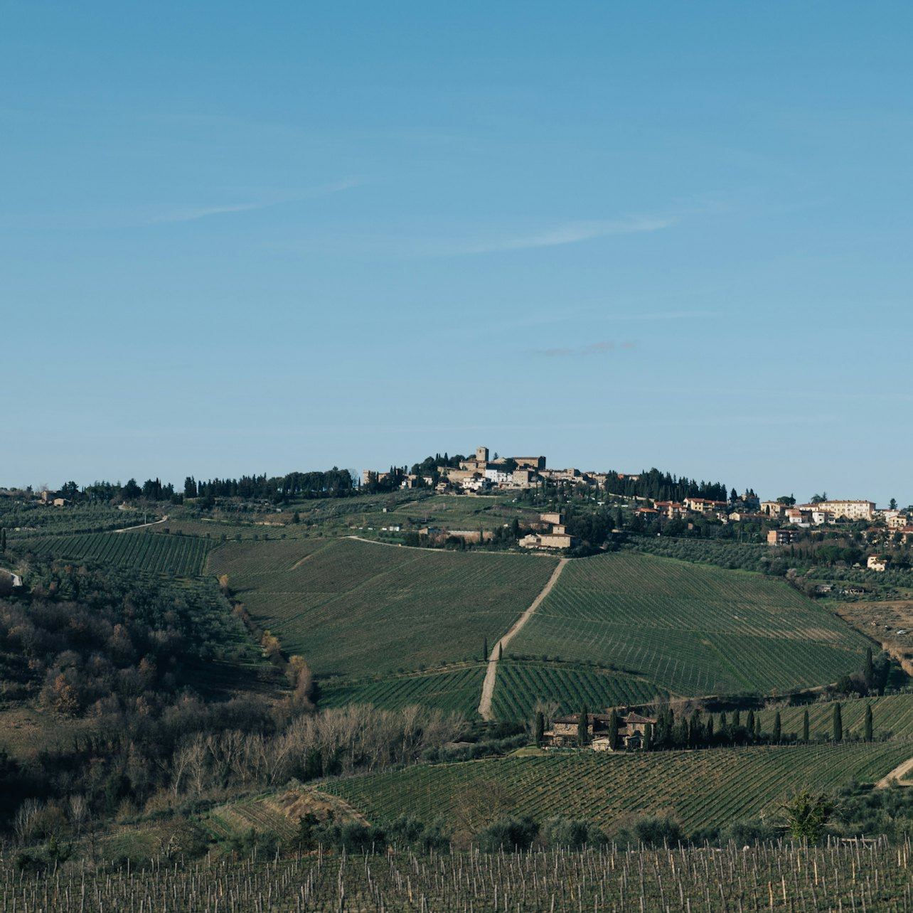 Guided Chianti Bus Tour from Florence: Vineyard Walk, Vinegar Cellar and 7-Wine Tasting (3/12)