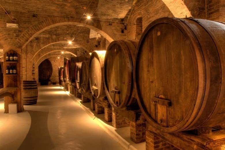 Chianti Half-Day Wine Tour from Florence by Air-Conditioned Coach, Two Estates, Five Hours (2/3)