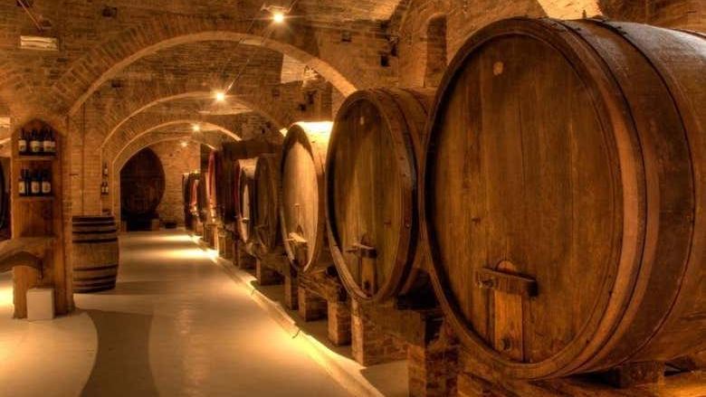 Chianti Half-Day Wine Tour from Florence by Air-Conditioned Coach, Two Estates, Five Hours (2/3)