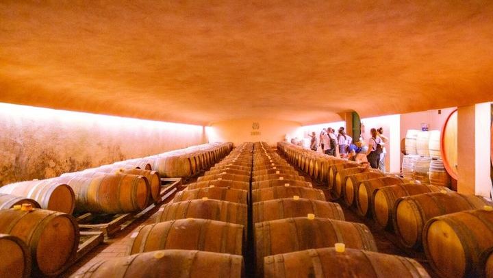 Guided E-Bike Ride from Florence into Chianti Classico with Winery Visit and Two Tastings (4/12)