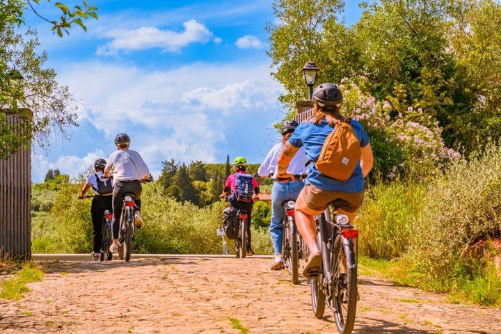 Guided E-Bike Ride from Florence into Chianti Classico with Winery Visit and Two Tastings (1/12)