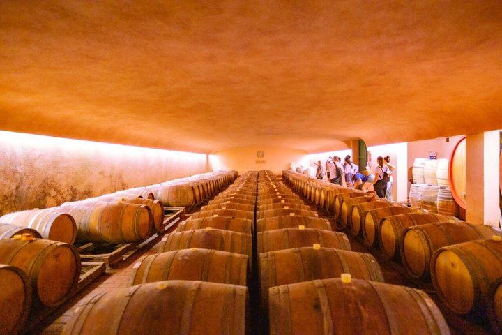 Guided E-Bike Ride from Florence into Chianti Classico with Winery Visit and Two Tastings (4/12)