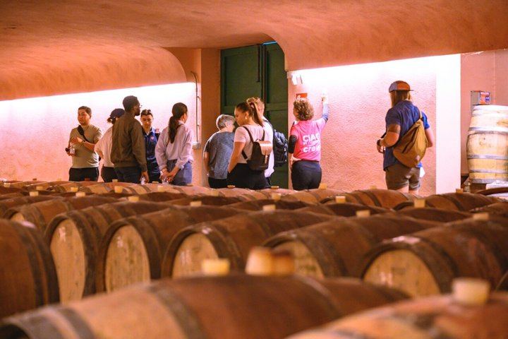 Guided E-Bike Ride from Florence into Chianti Classico with Winery Visit and Two Tastings (11/12)