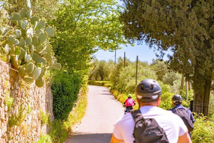 Guided E-Bike Ride from Florence into Chianti Classico with Winery Visit and Two Tastings (9/12)