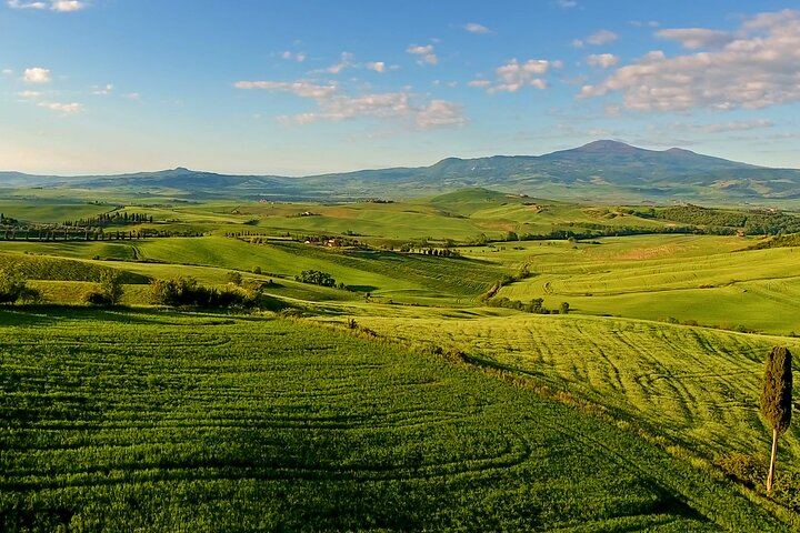 Chianti, Montalcino and Montepulciano by Minivan from Florence: Wine Tastings and Lunch (11/12)