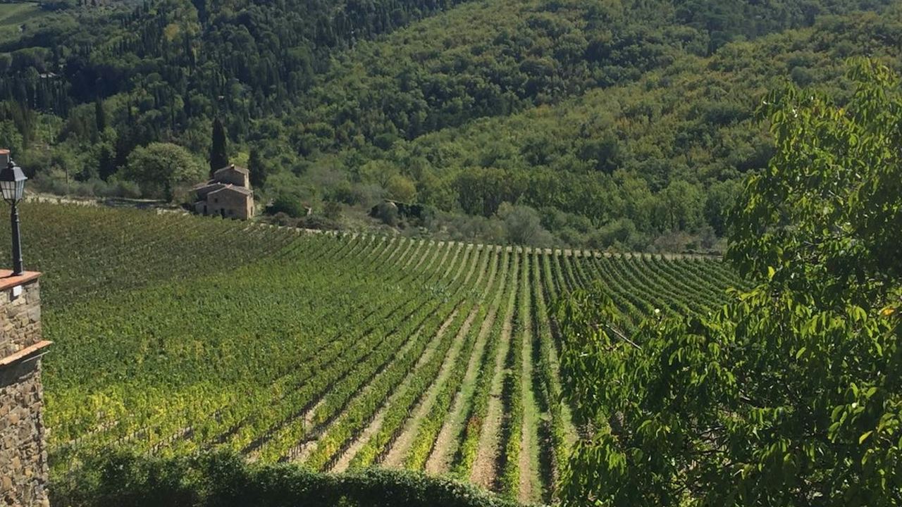 Small Group Chianti Day Trip from Florence with Cellar Visits at 2 Top-Rated Wine Estates (2/9)