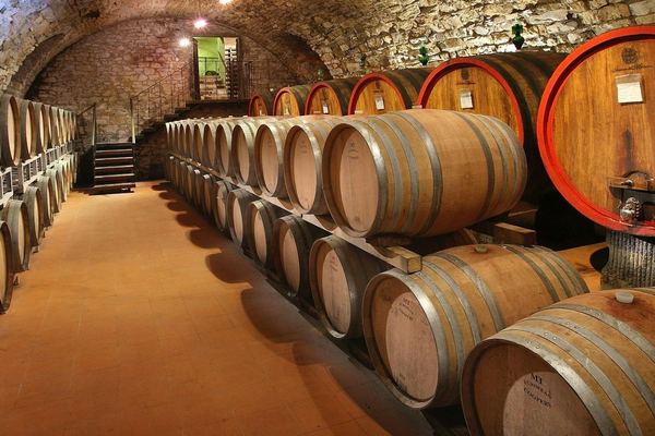 Small Group Chianti Day Trip from Florence with Cellar Visits at 2 Top-Rated Wine Estates