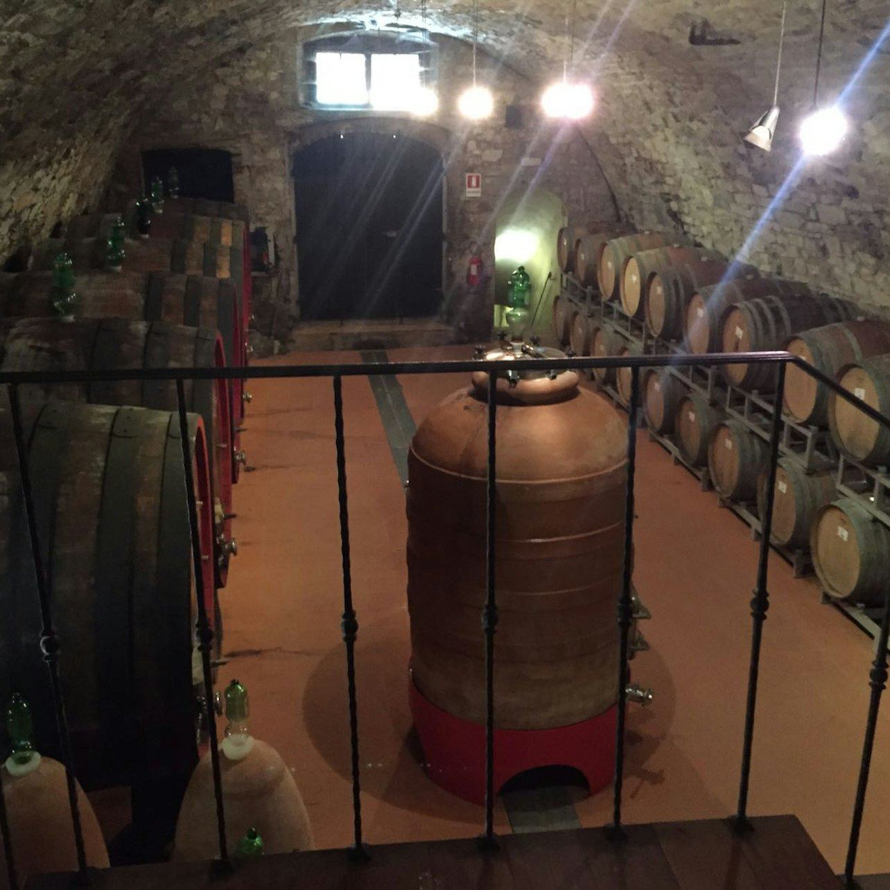 Small Group Chianti Day Trip from Florence with Cellar Visits at 2 Top-Rated Wine Estates (6/9)