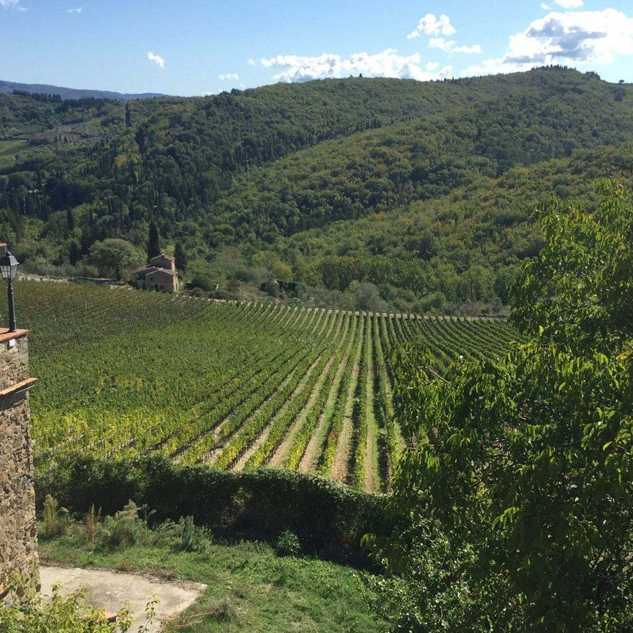 Small Group Chianti Day Trip from Florence with Cellar Visits at 2 Top-Rated Wine Estates (2/9)