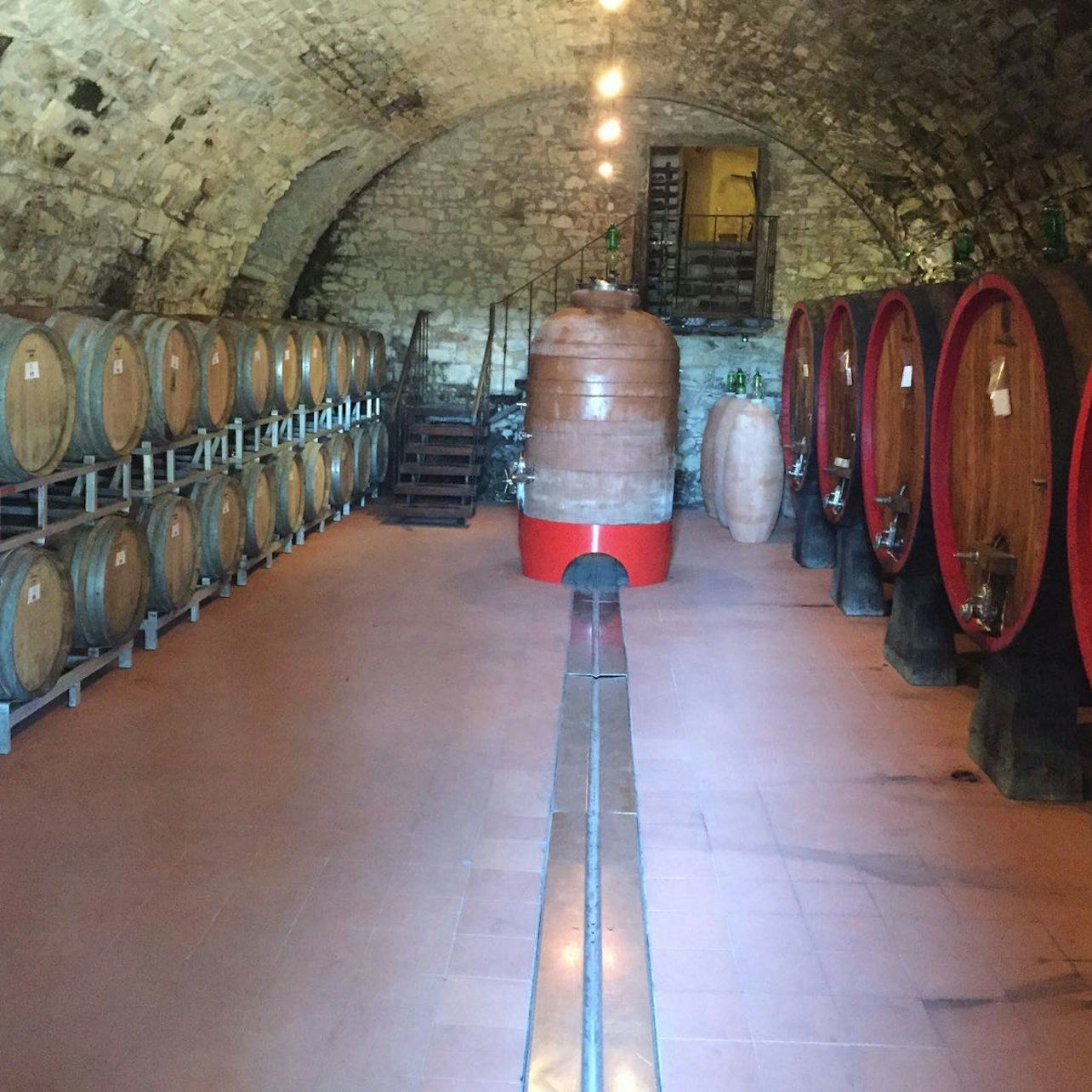 Small Group Chianti Day Trip from Florence with Cellar Visits at 2 Top-Rated Wine Estates (7/9)