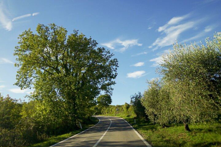 Chianti, Montalcino and Montepulciano by Minivan from Florence: Wine Tastings and Lunch (10/12)