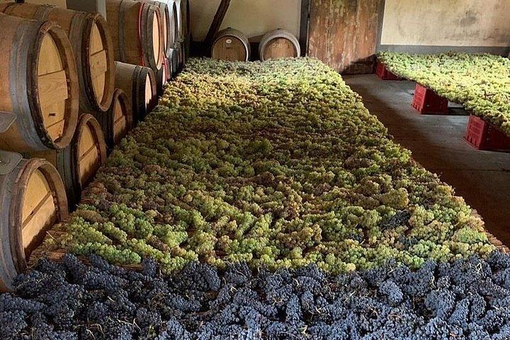 Chianti and San Gimignano by Minivan from Florence: 2 Wineries and Pairing Lunch (5/12)