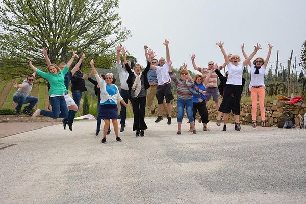 Chianti Classico Half-Day Wine Tour from Florence: 2 Family Wineries and Lunch