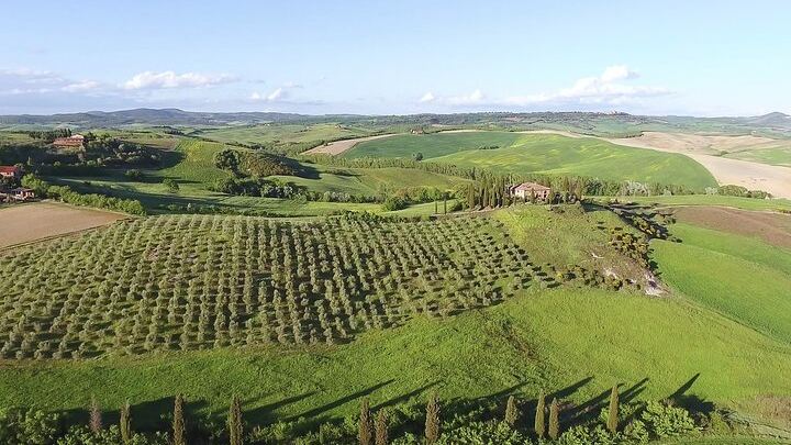 Chianti, Montalcino and Montepulciano by Minivan from Florence: Wine Tastings and Lunch (3/12)
