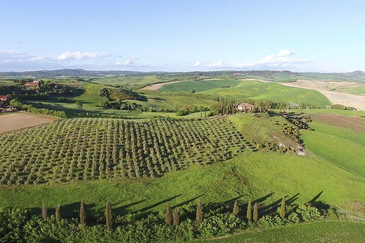 Chianti, Montalcino and Montepulciano by Minivan from Florence: Wine Tastings and Lunch (3/12)