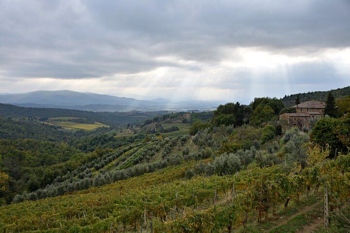 Private Chianti Tour: Two Boutique Wineries, Three-Course Lunch and Greve, 5 Hours (8/12)