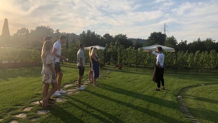 Chianti and San Gimignano by Minivan from Florence: 2 Wineries and Pairing Lunch (2/12)
