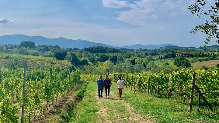 Chianti Wine Tasting Day from Florence: Hotel Pickup, 2 Wineries and Home-Cooked Lunch (2/10)
