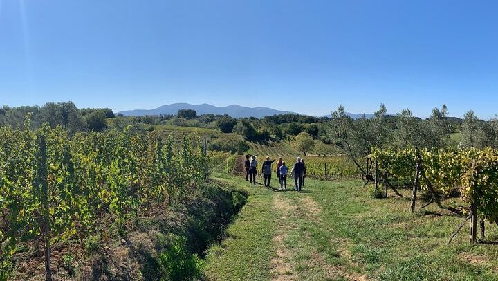 Chianti Wine Tasting Day from Florence: Hotel Pickup, 2 Wineries and Home-Cooked Lunch (3/10)
