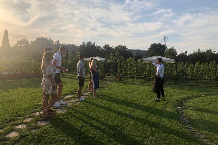 Chianti and San Gimignano by Minivan from Florence: 2 Wineries and Pairing Lunch (2/12)