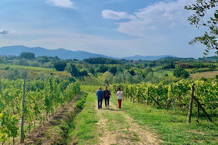 Chianti Wine Tasting Day from Florence: Hotel Pickup, 2 Wineries and Home-Cooked Lunch (2/10)