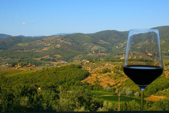 Five-Hour Chianti Sunset Tour from Florence with Driver and Two Tastings at a Family Farm (11/11)