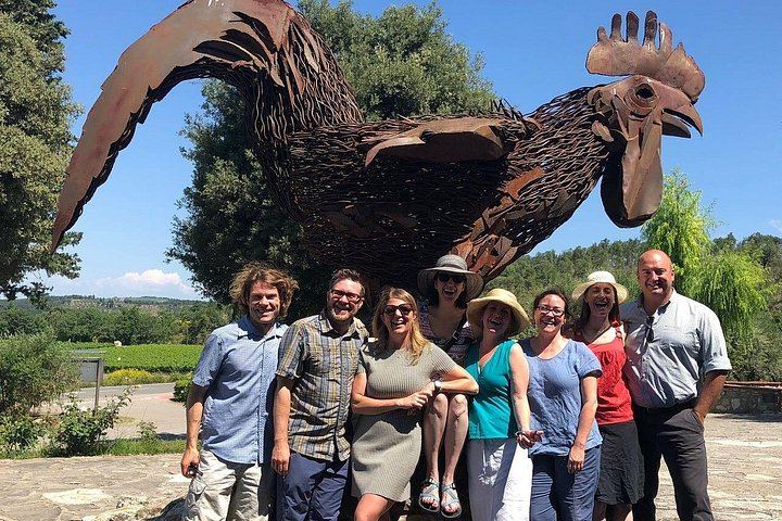 Chianti and San Gimignano by Minivan from Florence: 2 Wineries and Pairing Lunch (10/12)