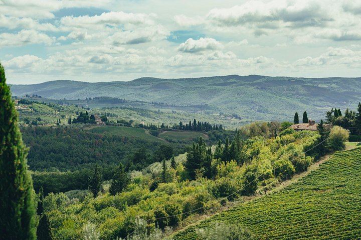 Small Group Chianti Day with an Italian Sommelier: 3 Family Wineries and Local Lunch (1/9)