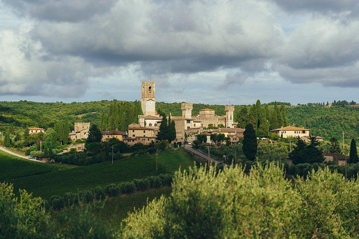 Small Group Chianti Day with an Italian Sommelier: 3 Family Wineries and Local Lunch (6/9)