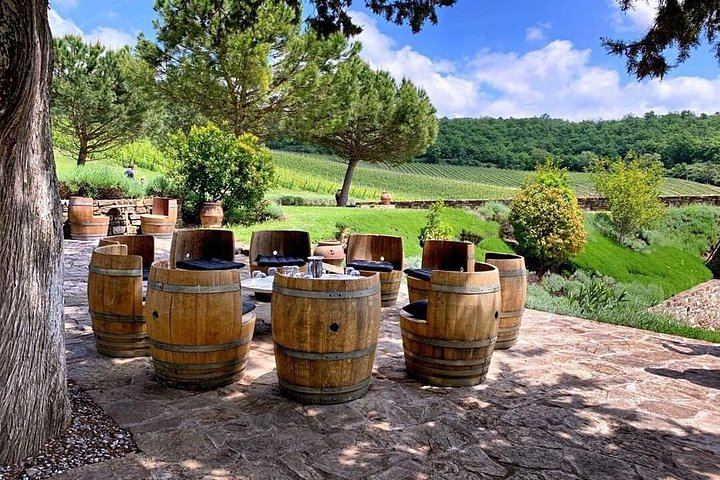 Small Group Chianti Day with an Italian Sommelier: 3 Family Wineries and Local Lunch (7/9)
