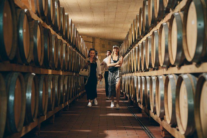 Small Group Chianti Day with an Italian Sommelier: 3 Family Wineries and Local Lunch (5/9)
