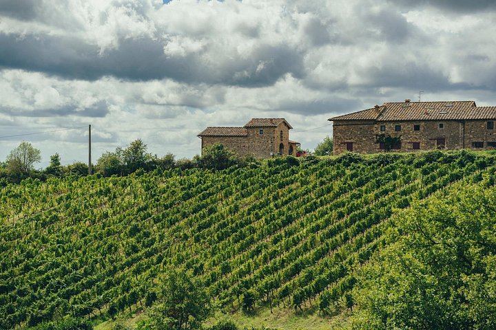 Small Group Chianti Day with an Italian Sommelier: 3 Family Wineries and Local Lunch (4/9)