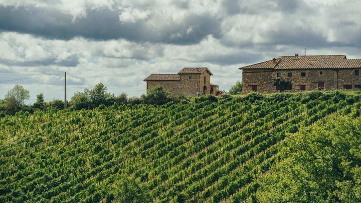 Small Group Chianti Day with an Italian Sommelier: 3 Family Wineries and Local Lunch (4/9)