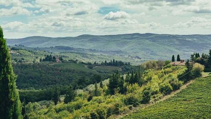 Small Group Chianti Day with an Italian Sommelier: 3 Family Wineries and Local Lunch (1/9)
