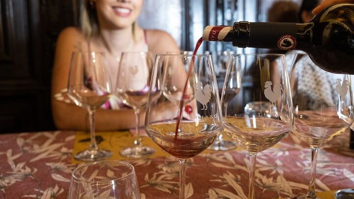 Chianti Classico Day from Florence: Impruneta Terracotta Village, 3 Wineries and Lunch (1/12)