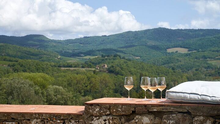 Chianti Classico Day from Florence: Impruneta Terracotta Village, 3 Wineries and Lunch (3/12)