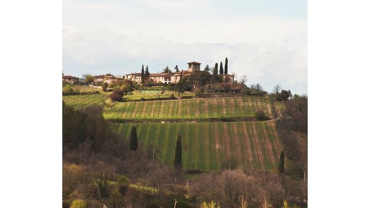 Private Driver Tour from Florence: San Gimignano, Two Chianti Wineries, Michelangelo Stop (3/12)