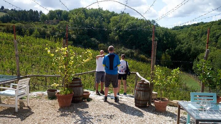 Chianti Classico Day from Florence: Impruneta Terracotta Village, 3 Wineries and Lunch (4/12)
