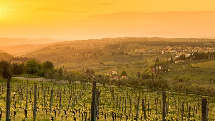 Private Driver Tour from Florence: San Gimignano, Two Chianti Wineries, Michelangelo Stop (4/12)