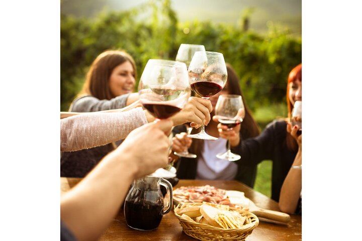 Private Driver Tour from Florence: San Gimignano, Two Chianti Wineries, Michelangelo Stop (1/12)